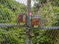 Rusty chained gate against a backdrop of overgrown vegetation and wildflowers Royalty Free Stock Photo