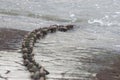 Rusty chains above the seaside harbor in cloudy day Royalty Free Stock Photo