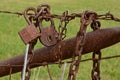 Rusty padlocks fence and chains left on a gate Royalty Free Stock Photo