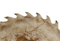 Rusty circular saw disk teeth closeup on white Royalty Free Stock Photo