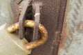 Rusty closed padlock on door Royalty Free Stock Photo