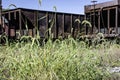 Rusty Coal Cars