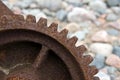 Rusty cogwheel or gear Royalty Free Stock Photo