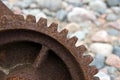 Rusty cogwheel or gear