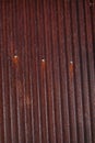 Rusty corrugated tin,barn,roof,nails