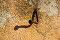 Rusty and crooked nail in wall