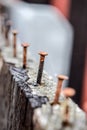 Rusty and crooked steel nail in wooden plank