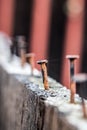 Rusty and crooked steel nail in wooden plank