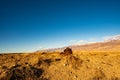 Desert debris in Owens Valley snowy Sierra Nevada mountains California