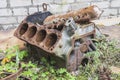 Rusty disassembled engine lies in the grass