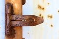 Rusty door hinges Royalty Free Stock Photo