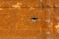 Rusty door with keyhole background