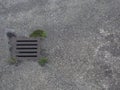 Rusty drain and some moss and grass patterns on the on grungy ground.