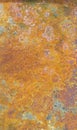 Rusty drum surface