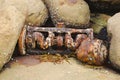 Rusty engine block