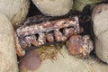 Rusty engine block