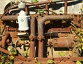 Rusty Engine With Vines