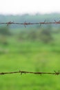 Rusty fence chains in two rows with green colored background. Used selective focus Royalty Free Stock Photo