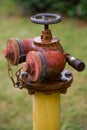 Rusty fire hydrant Royalty Free Stock Photo