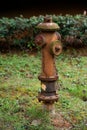 Rusty fire hydrant Royalty Free Stock Photo