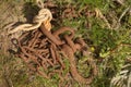 Rusty fishermans chain & rope in grass Royalty Free Stock Photo