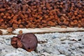 Rusty fuel drums on Arctic coast