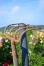 Rusty garden rake