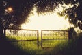 Rusty Gate in fog