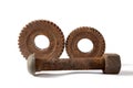 Rusty gears and bolt with a nut