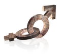 Rusty gender signs 3d on white Royalty Free Stock Photo