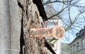 Rusty german traffic sign Ausfahrt