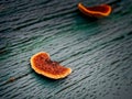 Rusty gilled polypore fungus