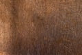 Rusty golden shabby vintage copper old surface for grunge wallpaper or background