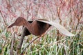 Rusty Goose Statue in Garden