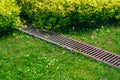 Rusty grate drainage system on turf lawn with green grass and foliage bushes. Royalty Free Stock Photo