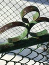 A rusty green fence in the middle of a suburban winter Royalty Free Stock Photo