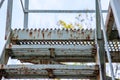 Rusty green metal stairs detail Royalty Free Stock Photo