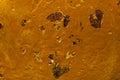 Rusty Grunge Surface on metal Royalty Free Stock Photo