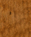 Rusty Grungy Metal Background