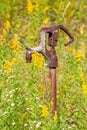 A rusty hand pump in a field of goldenrod Royalty Free Stock Photo