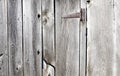 Rusty hinge on a barnboard door