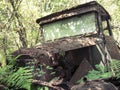 Rusty Historic 1930 Truck Falling Apart in the Forest Royalty Free Stock Photo