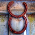 Rusty horse shoes