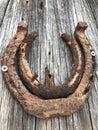 Rusty horseshoes on barn wood Royalty Free Stock Photo