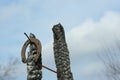 Rusty horseshoes on a burned wooden pole - rustic scene in a country style. Royalty Free Stock Photo