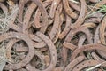 Rusty rusted horseshoes old pile Royalty Free Stock Photo