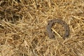 Rusty horseshoes on a straw background - rustic scene in a country style. Old iron Horseshoe - good luck symbol and mascot of well Royalty Free Stock Photo