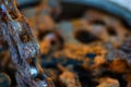 Rusty industrial roller chain is close, soft focus