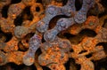 Rusty industrial roller chain is macro, soft focus