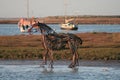 The Horse Sculpture in Water at Wells-next-the-sea II